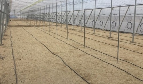 El Gobierno prorroga la medida que permite a los regantes cambiar sin coste la potencia de tarifa eléctrica en menos de 12 meses