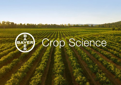 Bayer prueba con éxito el nuevo material compostable de Novamont que elimina el residuo plástico en los cultivos agrícolas