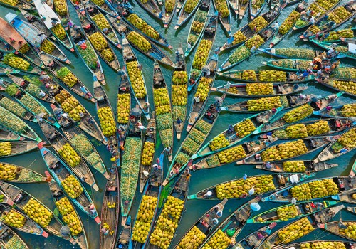 Bimi® se convierte en el nuevo patrocinador de los World Food Photography Awards