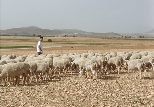 La Comunidad comienza a abonar más de 18,3 millones por el adelanto de las ayudas de la Política Agraria Común