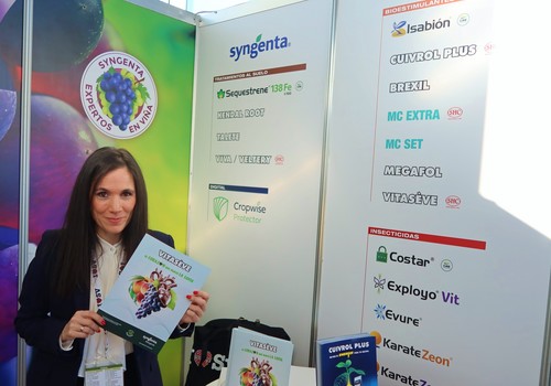 Syngenta presenta su solución de bioestimulación VITASÈVE en III Congreso Phytoma de la Vid y el Vino