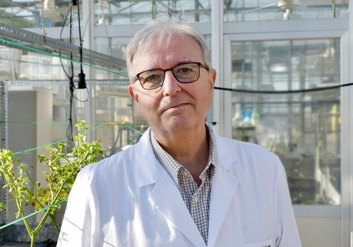 José María García-Mina, director de la Cátedra TIMAC AGRO-Universidad de Navarra, entre los científicos más prestigiosos del mundo