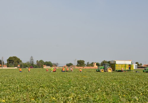 ASAJA rechaza la reducción de la jornada laboral y alerta del grave impacto para el sector agrario
