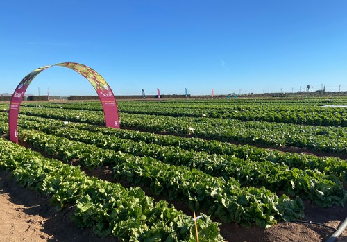 Winter Open Field Days 2025: Innovación para superar los desafíos en la agroindustria