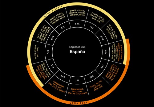 KWS Vegetables despliega su amplio conocimiento sobre baby espinaca y acelga en Murcia