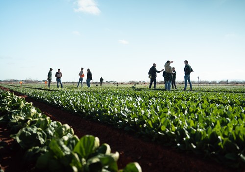 Tozer presenta 150 variedades vegetales en sus Open Days de Murcia