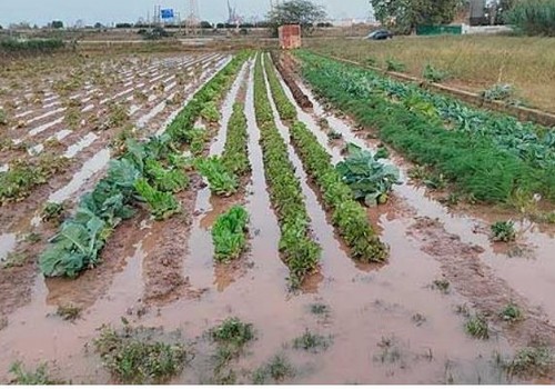 Agricultores y ganaderos otorgan un notable al seguro agrario por cuarto año consecutivo