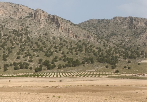 Las ayudas para explotaciones agrícolas en zonas de montaña y en zonas con limitaciones naturales alcanzan los 6 millones