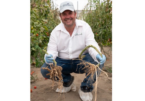 Bayer refuerza su línea de portainjertos con DRTX6695