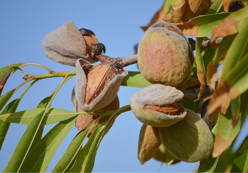 El Ministerio de Agricultura, Pesca y Alimentación abre la inscripción en el curso de producción ecológica