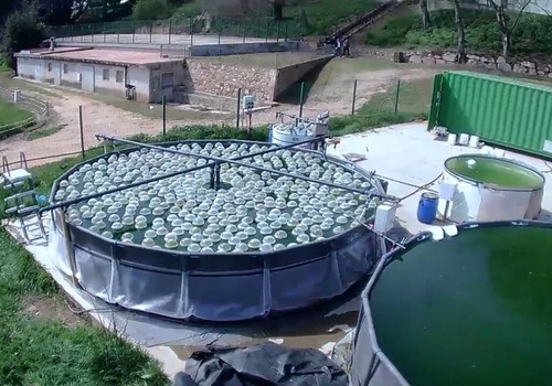 Desarrollan una innovadora tecnología verde para el tratamiento de aguas subterráneas contaminadas