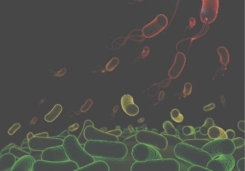 Bacterias que causan enfermedades en plantas colaboran para derrotar al sistema inmunológico vegetal