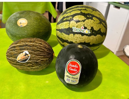 Rijk Zwaan sigue evolucionando en sabor y textura con sus nuevas variedades de sandía y melón