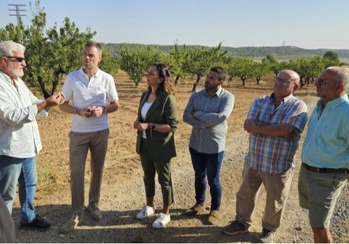 El Gobierno regional publica la convocatoria de ayudas por valor de 4,5 millones para los productores de almendro afectados por la sequía
