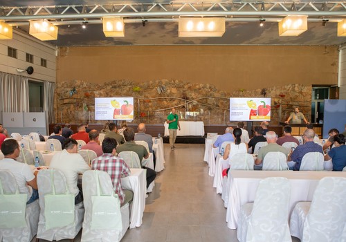 Kostantine F1* y Kasiopea F1*, precocidad y producción para el Campo de Cartagena