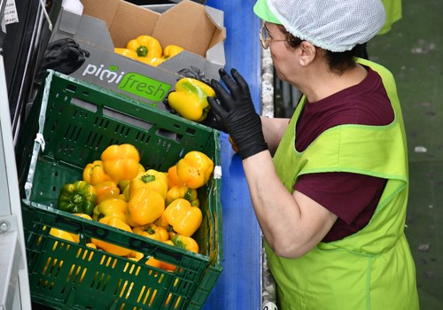 El volumen de la exportación de frutas y hortalizas frescas se mantienen durante el primer semestre de 2025 incrementando su valor