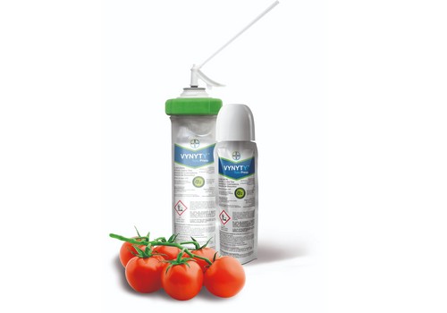Manejo de tuta absoluta en el cultivo de tomate en invernadero