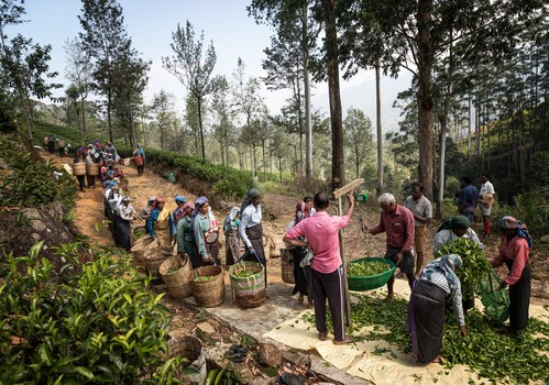 Se abren las inscripciones a los premios World Food Photography Awards