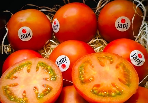 Sakata presenta en Fruit Attraction su joya gourmet: Japi, el tomate que ‘sabe hacerte feliz’