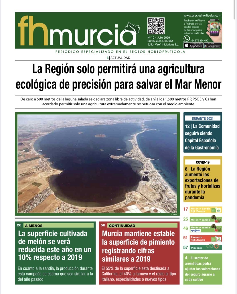 fhmurcia N•10// Julio 2020