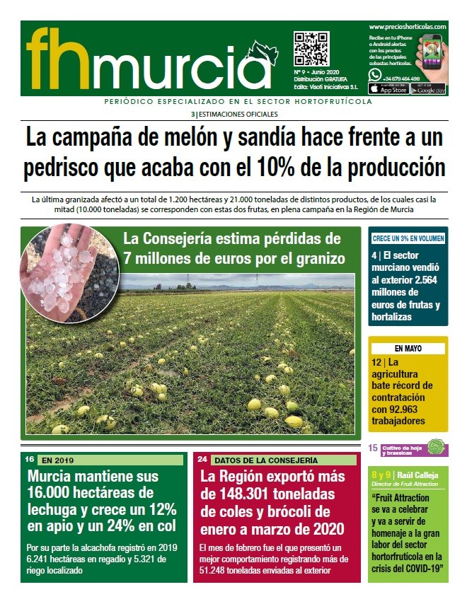 fhmurcia Nº9// Junio 2020