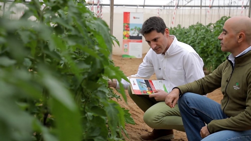 “Azadiractin, 25 años de historia de una materia activa que protege a los cultivos hortícolas de las plagas de hoy”