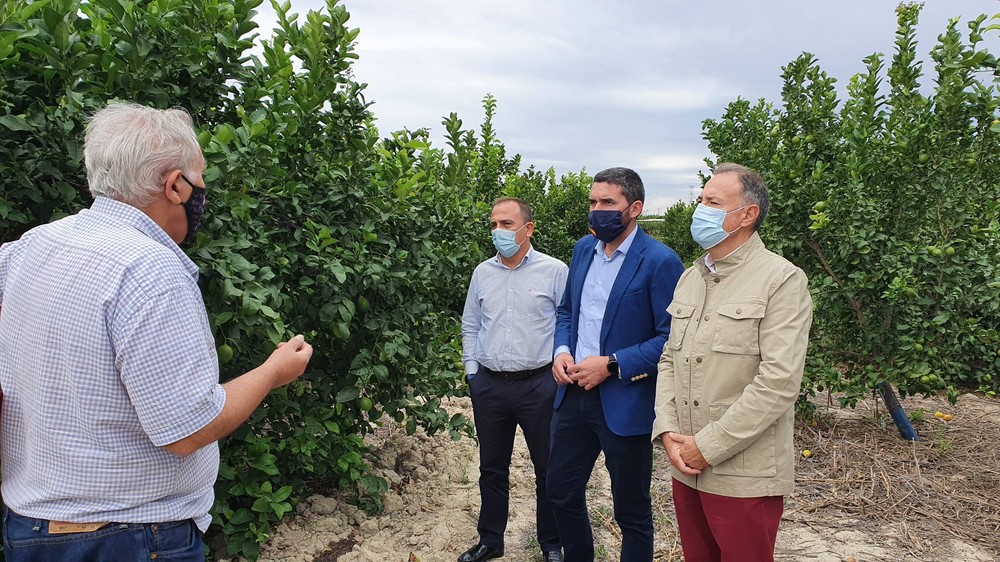 La Comunidad impulsa la aplicación de  biofertilizantes en cultivos para incrementar la sostenibilidad de la agricultura