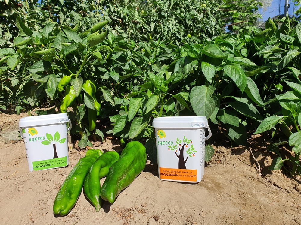 Vellsam presenta Byecco, su nueva línea de jardinería