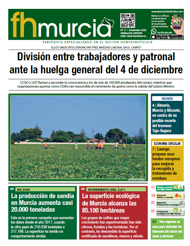 Número 11 // Noviembre 2020