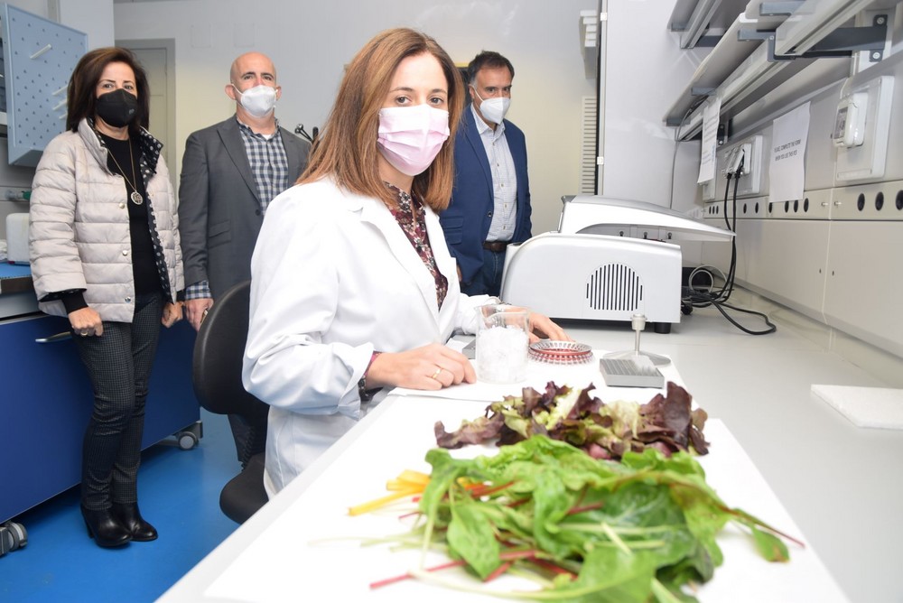 El uso de compost procedentes de residuos orgánicos protege y aumenta la calidad nutricional de lechugas y espinacas baby leaf