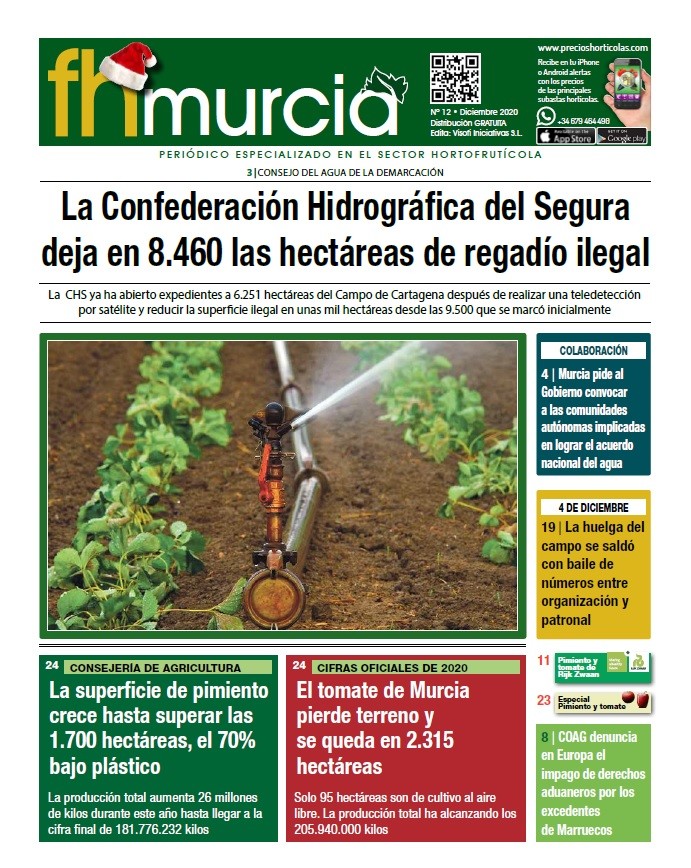 Número 12/ Diciembre 2020