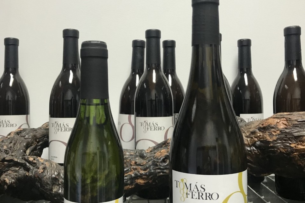 Agrónomos elabora por primera vez una edición limitada de vino dulce de Merseguera
