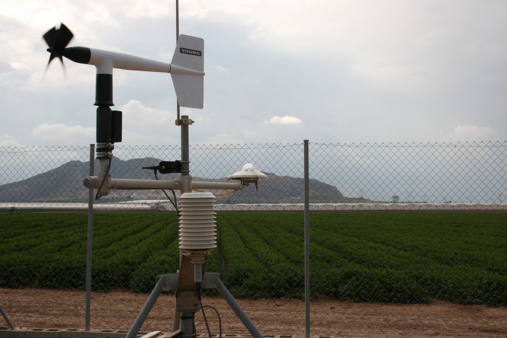  El IMIDA desarrolla una aplicación móvil gratuita que ofrece datos meteorológicos y programas concretos de riego según parcela y cultivo
