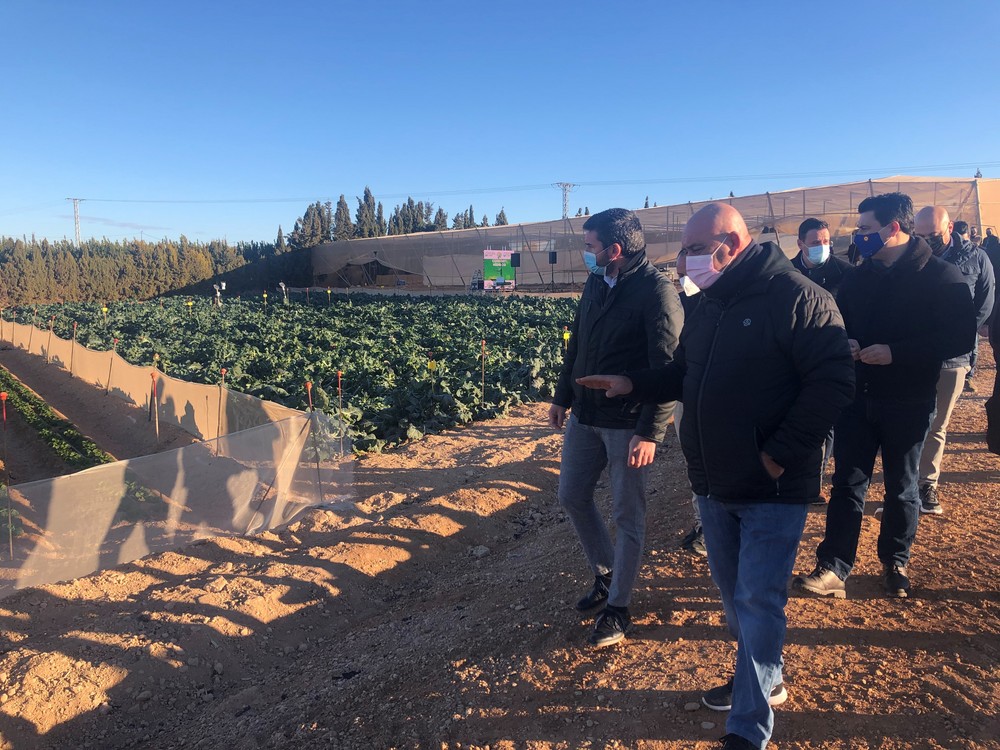 La agricultura del Campo de Cartagena sigue invirtiendo en tecnología para garantizar el uso óptimo de agua