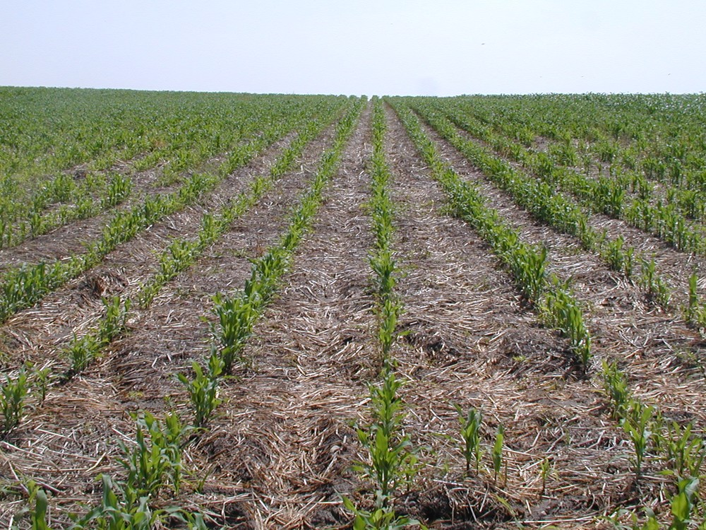 La UE incluye la Agricultura de Conservación en el listado de eco-esquemas de la PAC por sus beneficios medioambientales