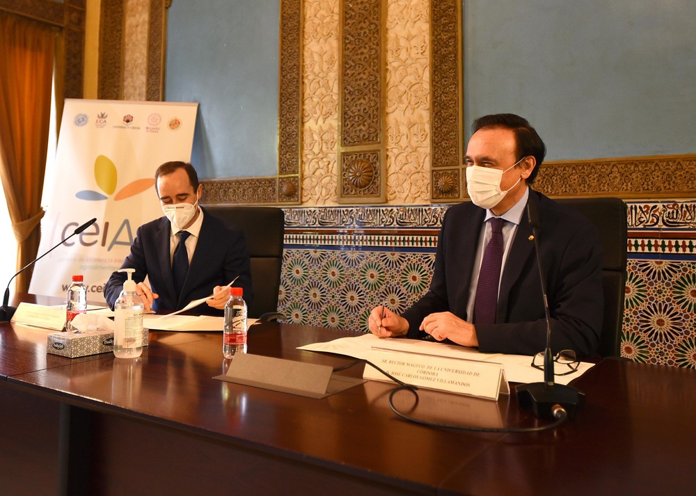 La Cátedra SIPCAM de Transformación Digital para la Agricultura Sostenible fomenta un sector innovador y respetuoso con el medio ambiente