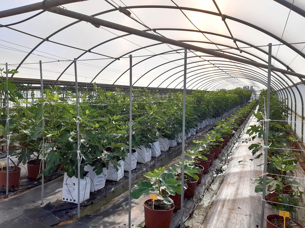 Projar recibe el sello PYME Innovadora por su constante apuesta en I+D+i