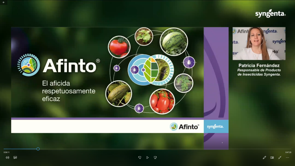 Afinto, el nuevo aficida de Syngenta respetuosamente eficaz contra pulgón