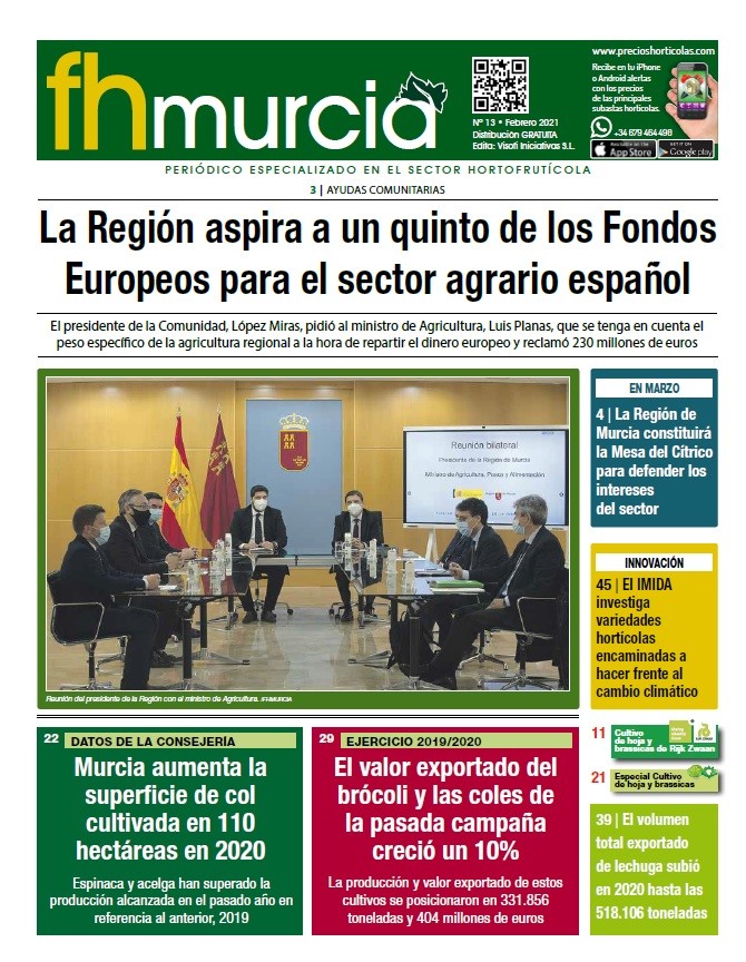 Número 13// Febrero 2021