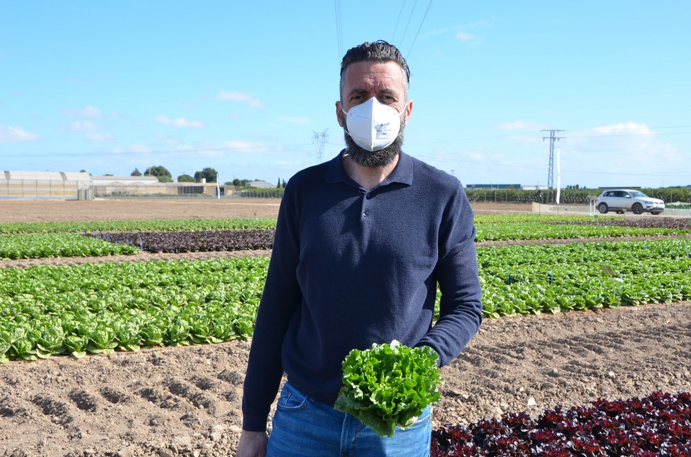 Syngenta vuelve a innovar en sus cultivos de hoja aportando variedades adaptadas tanto a la cadena como al consumidor