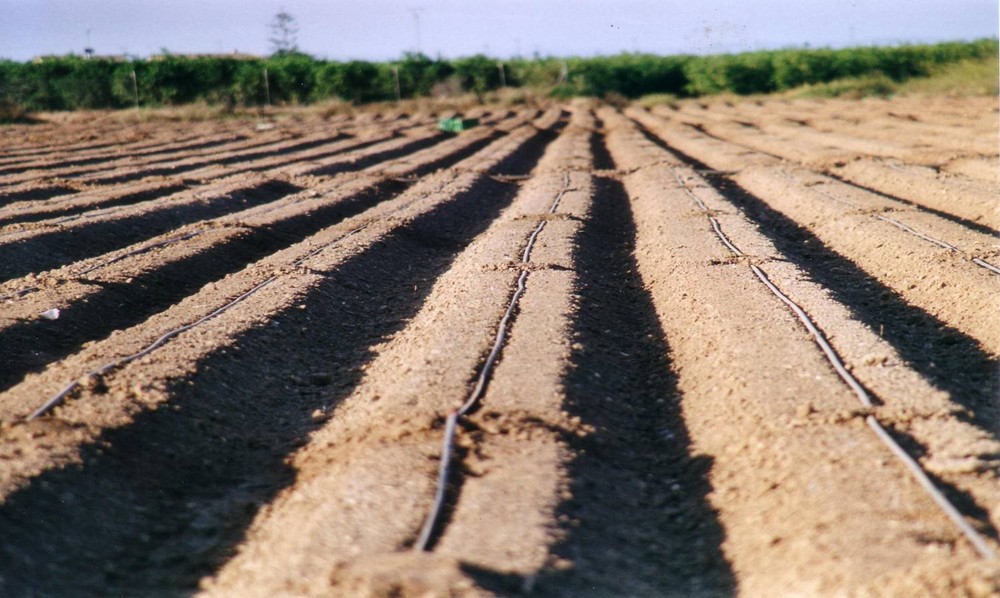 COEXPHAL y PROEXPORT solicitan al MITECO fondos europeos para avanzar en la economía circular del sector hortofrutícola