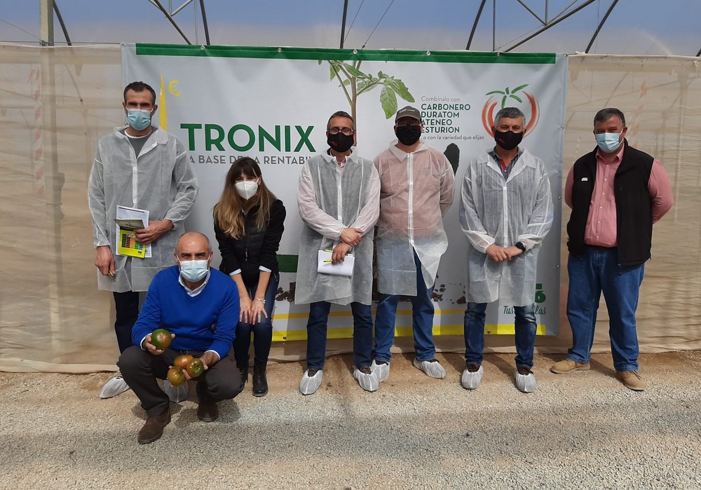 La jornada de portainjertos de tomate de Fitó muestra su papel clave en la sanidad y productividad de las plantas