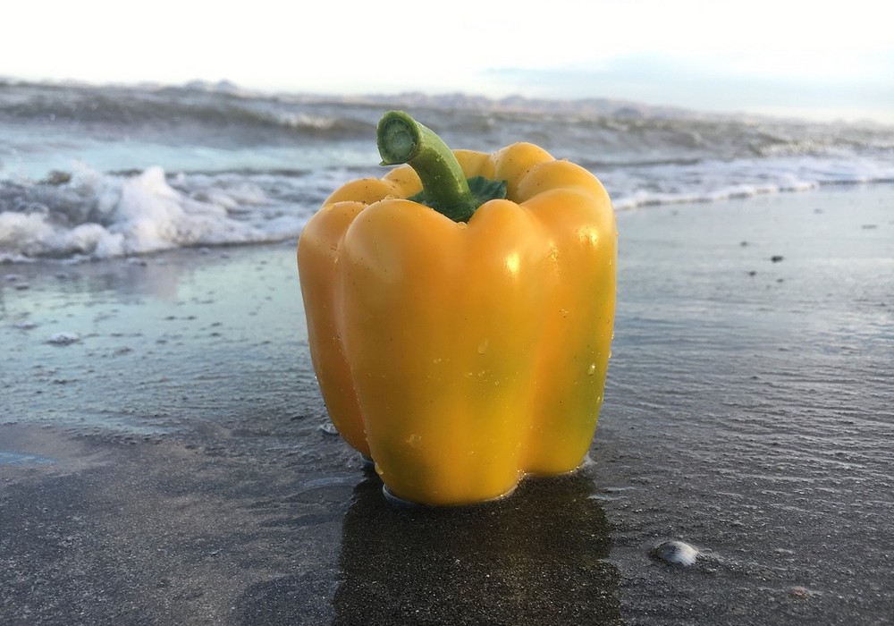 Semillas Fitó y Proexport siguen promoviendo el pimiento en Murcia con la segunda edición del Concurso Fotográfico Vitamínate Con Pimiento