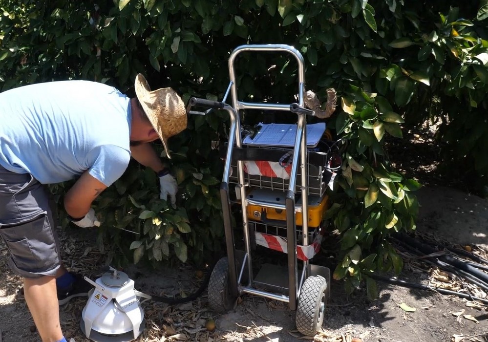 El IMIDA demuestra que el empleo de ozono con aguas regeneradas proporciona beneficios en el cultivo de cítricos