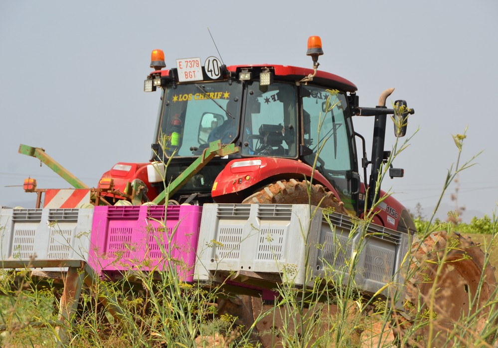 El Gobierno convoca las subvenciones destinadas a financiar avales por un valor de  3 millones de euros para la compra de maquinaria agrícola