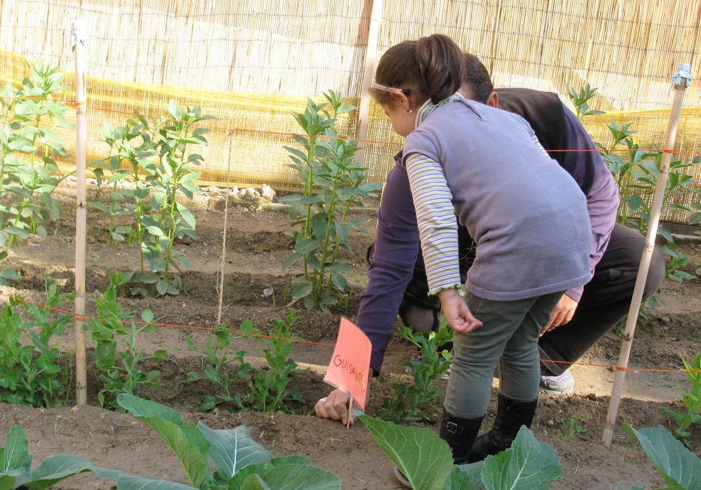 166 centros escolares reciben 5.000 plantones y sobres de semillas para sus Huertos Escolares Ecológicos