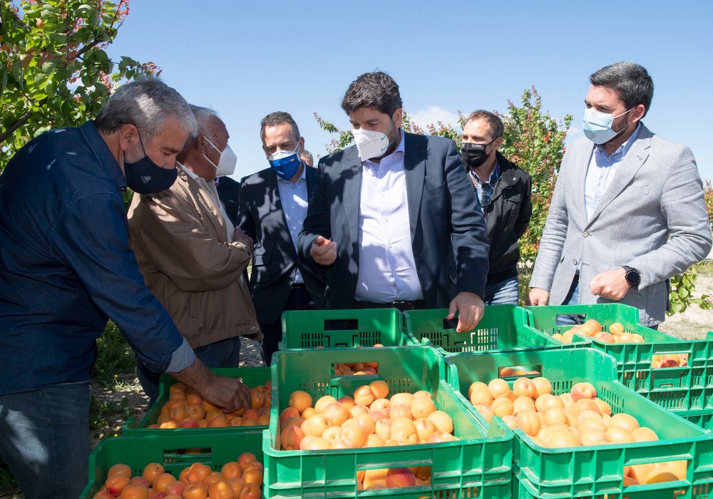 El Gobierno regional destinará 50 millones a más de 3.000 productores para mantenimiento y ampliación de la agricultura ecológica