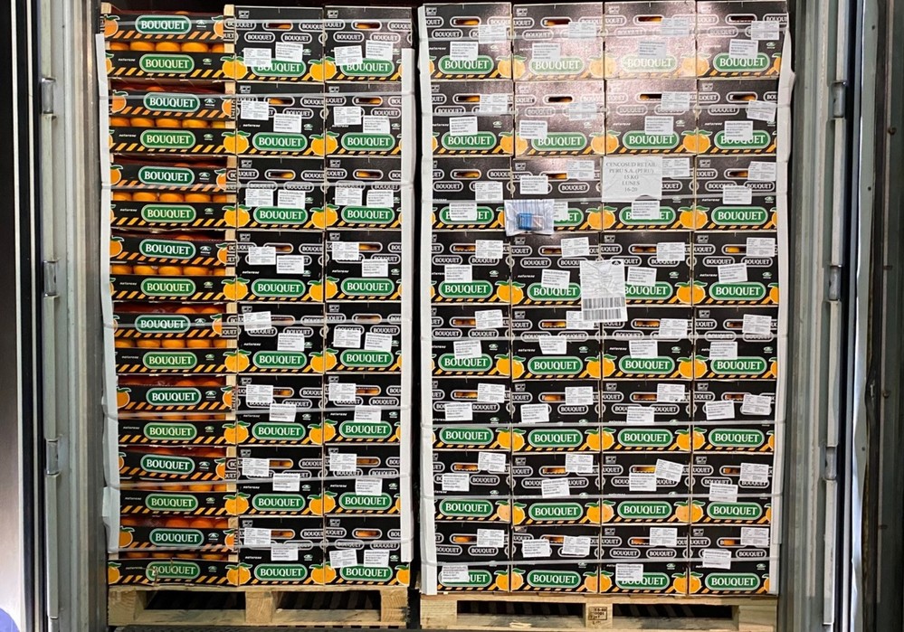 Anecoop abre vía comercial con Perú al enviar el primer contenedor de naranjas desde España