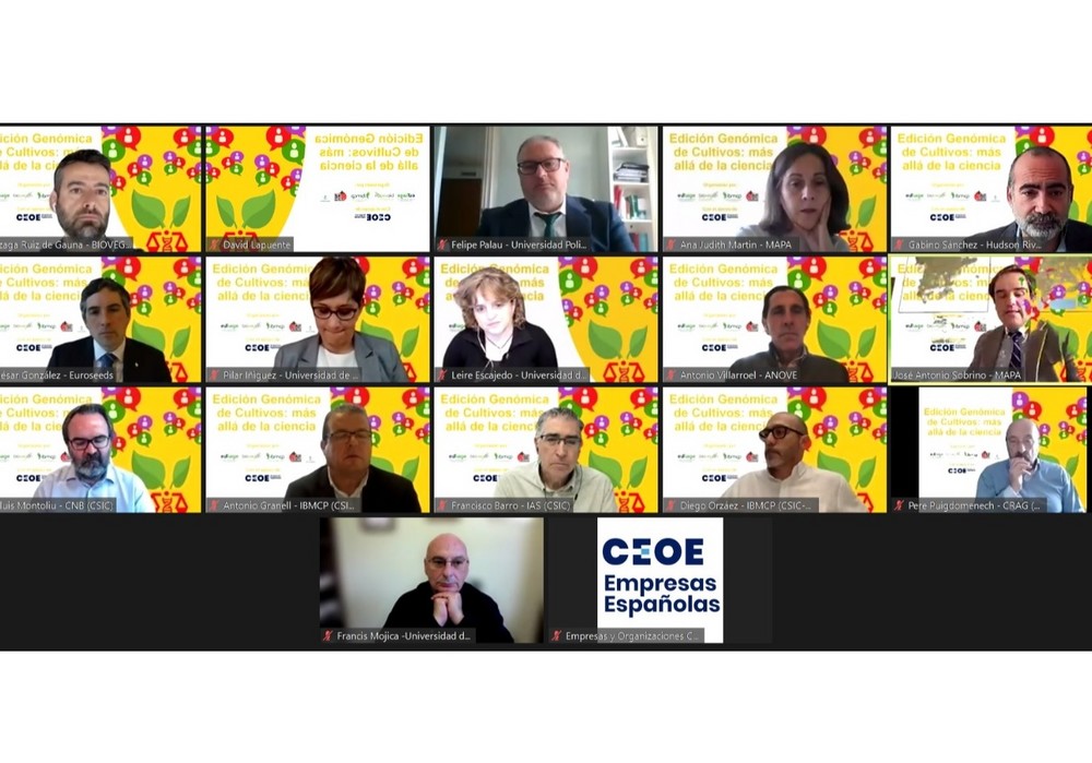 Investigadores, empresas y juristas reclaman un cambio urgente en la legislación europea sobre la edición genética de plantas