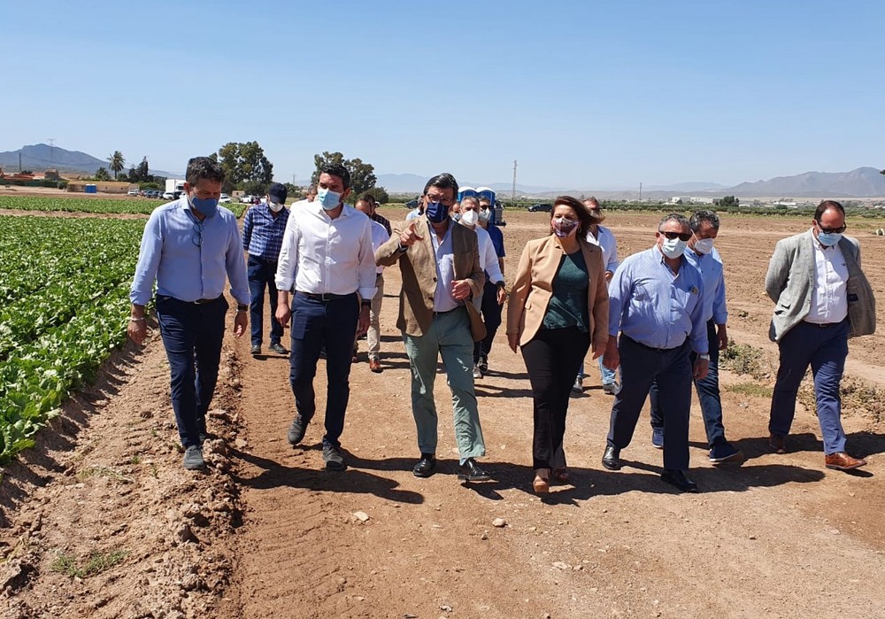 La Comunidad pone en valor los avances en investigación y desarrollo tecnológico en el sector agrario de la Región de Murcia